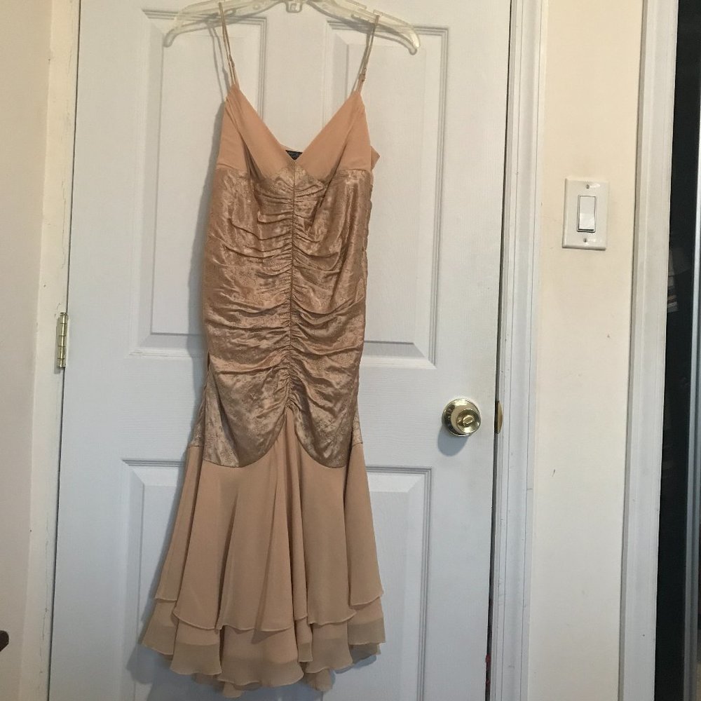 Betsey Johnson formal dress